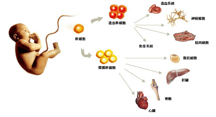 圖片11.png