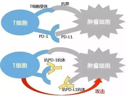 圖片173.png