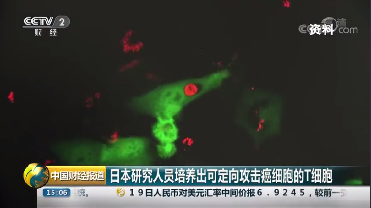微信截圖_20181220112010.png