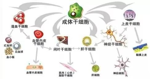 微信圖片_20190613105845.jpg