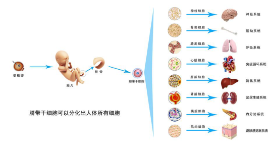 圖片5.png