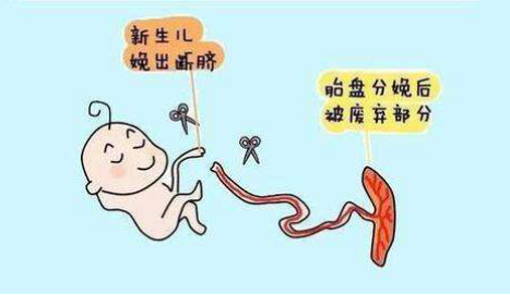 圖片6.png