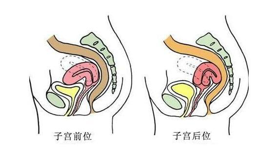 圖片6.png