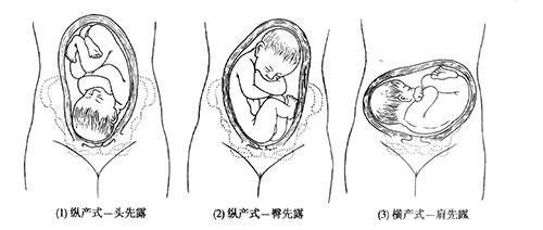 圖片3.png