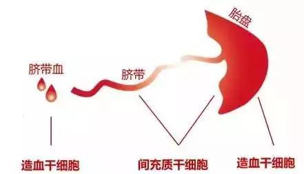 圖片7.png