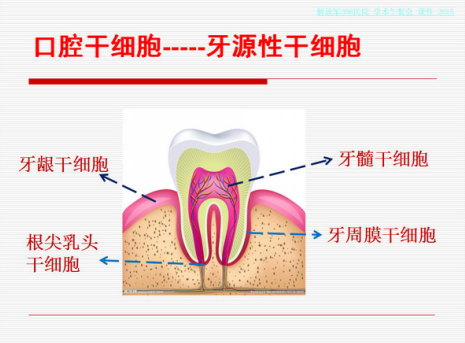 微信截圖_20190722093532.png