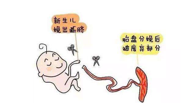 圖片2.png