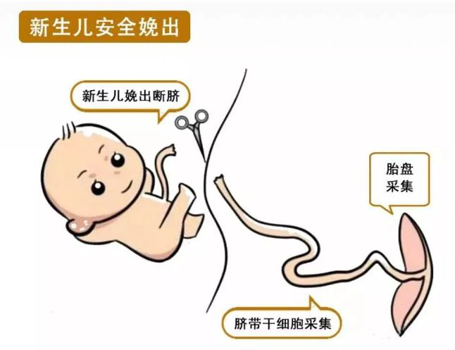 圖片3.png