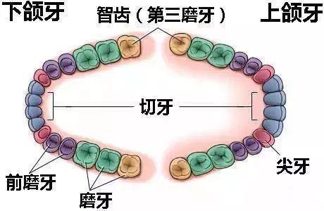圖片2.png
